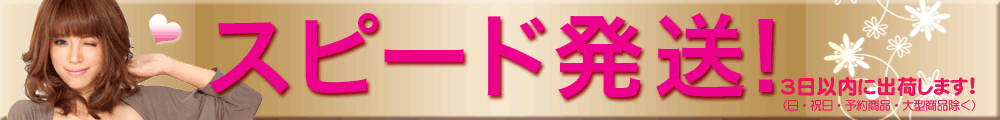 �X�s�[�h�z���I