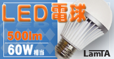 LED�d��