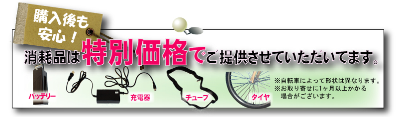 送料無料 電動自転車